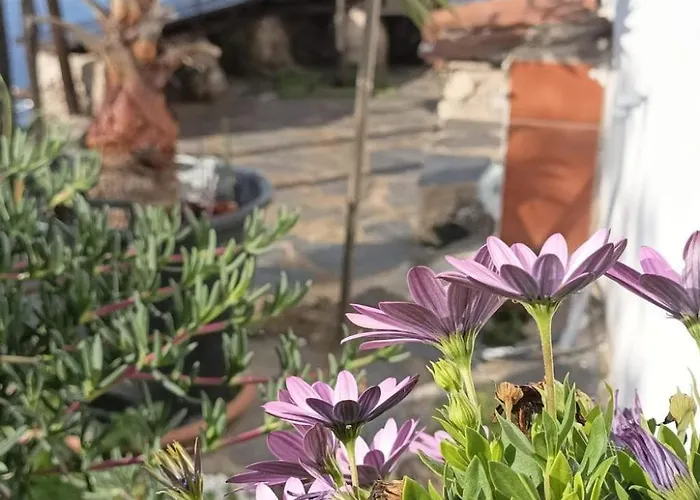 Casa Madera 2 By Interhome